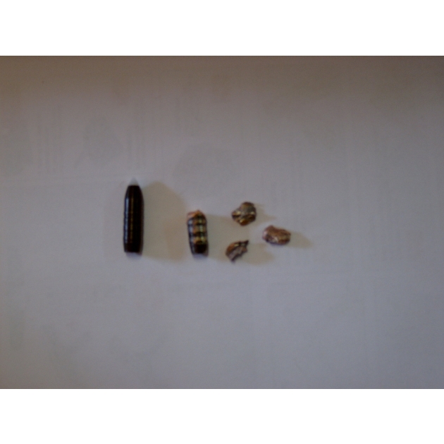 .308 Reichenberg HDB/HDBoH