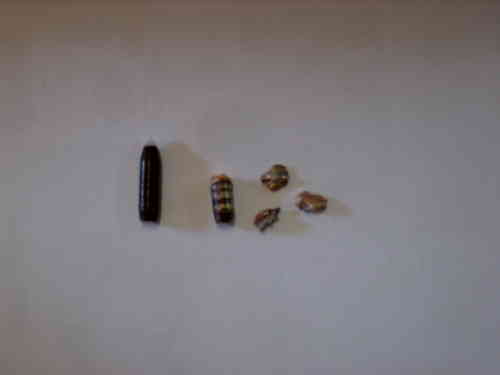 .307-7,5mm Reichenberg HDB